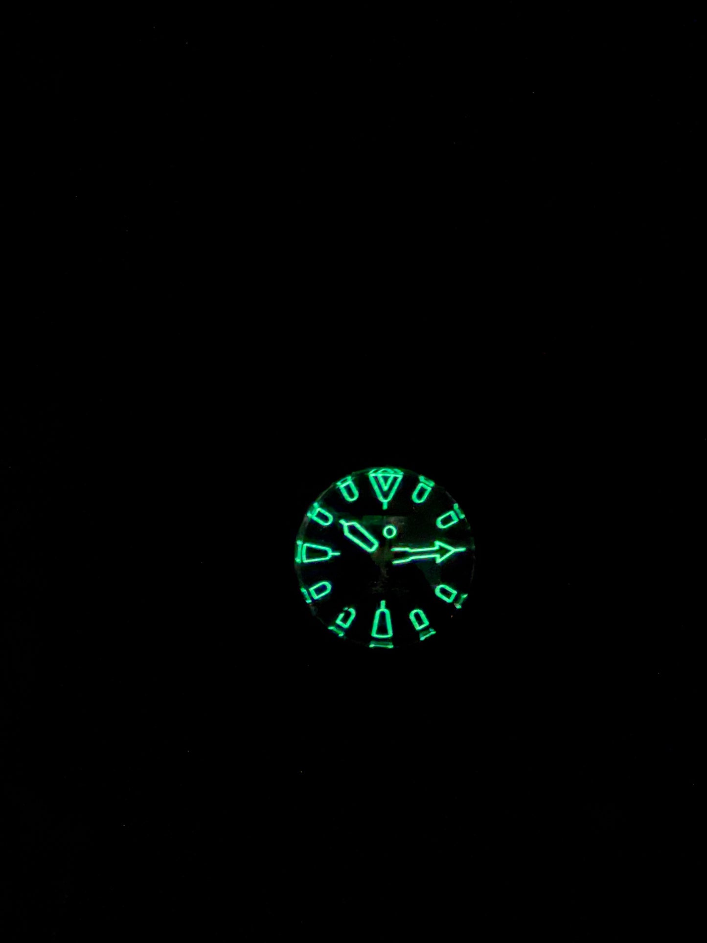 Turtle BB GMT