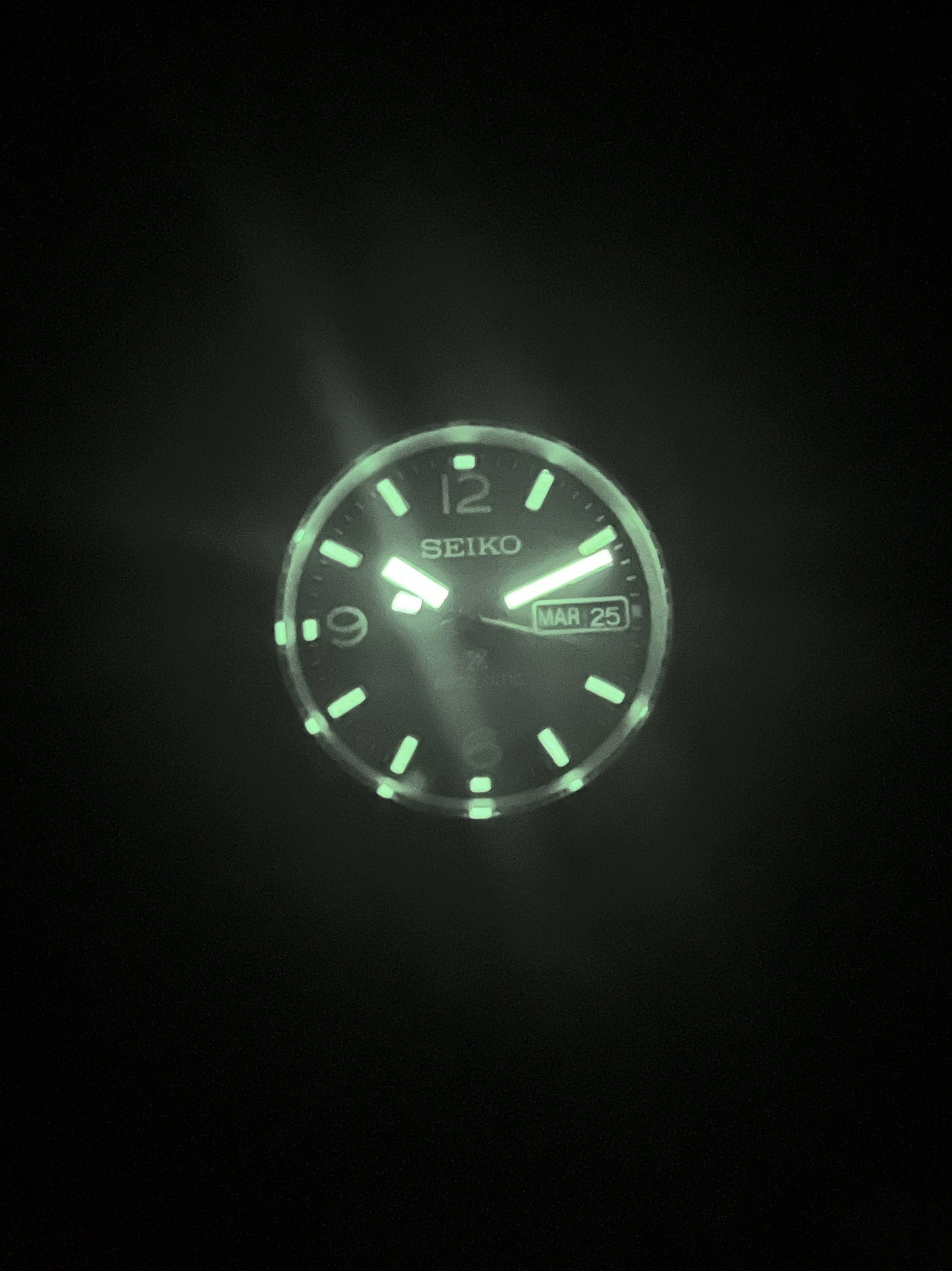 Titanium Field Watch
