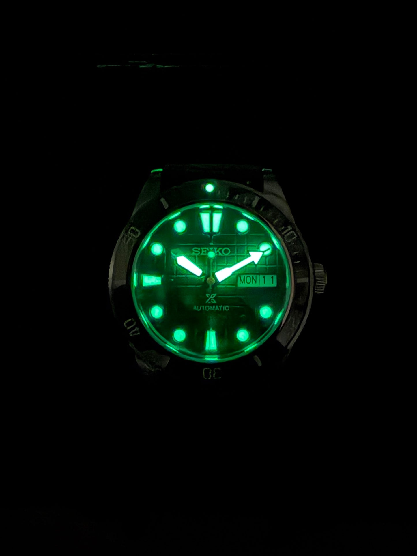 King Turtle BB