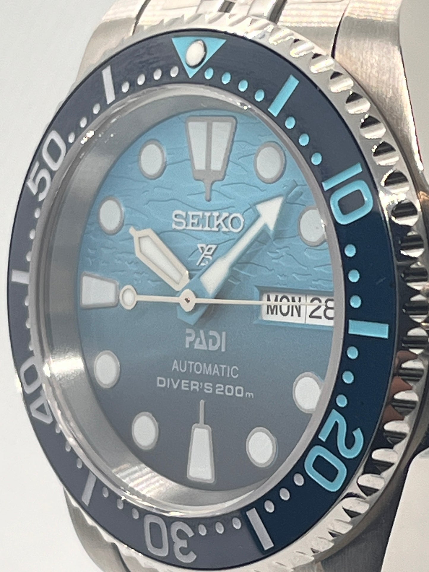 Great Blue Turtle Sub