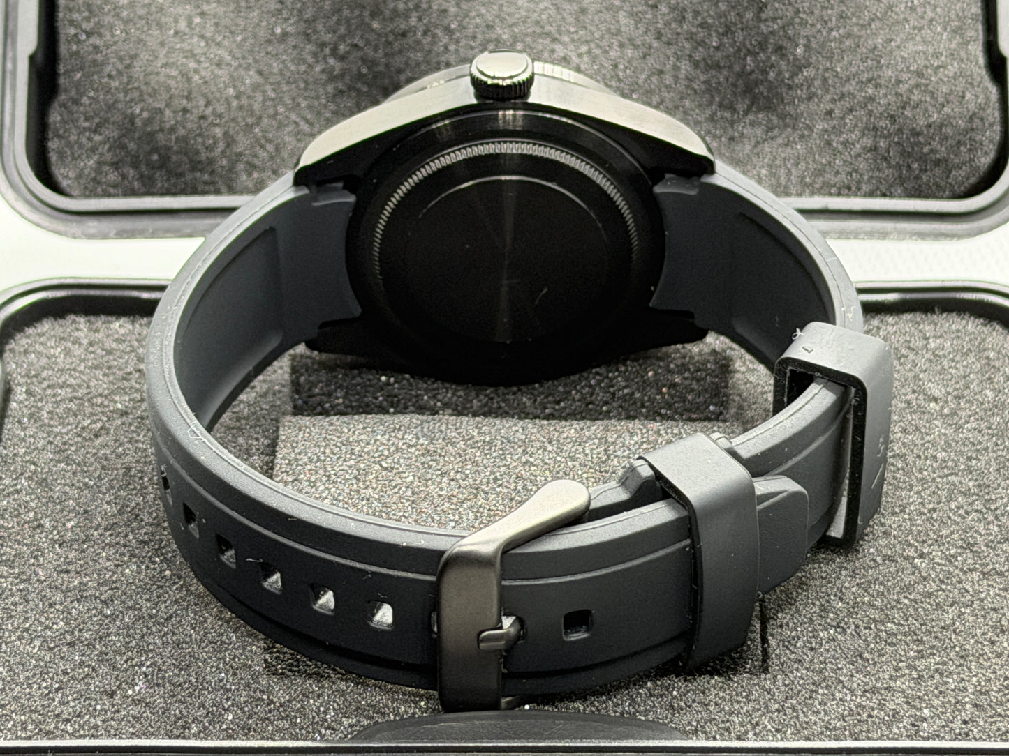 Turtle BB GMT