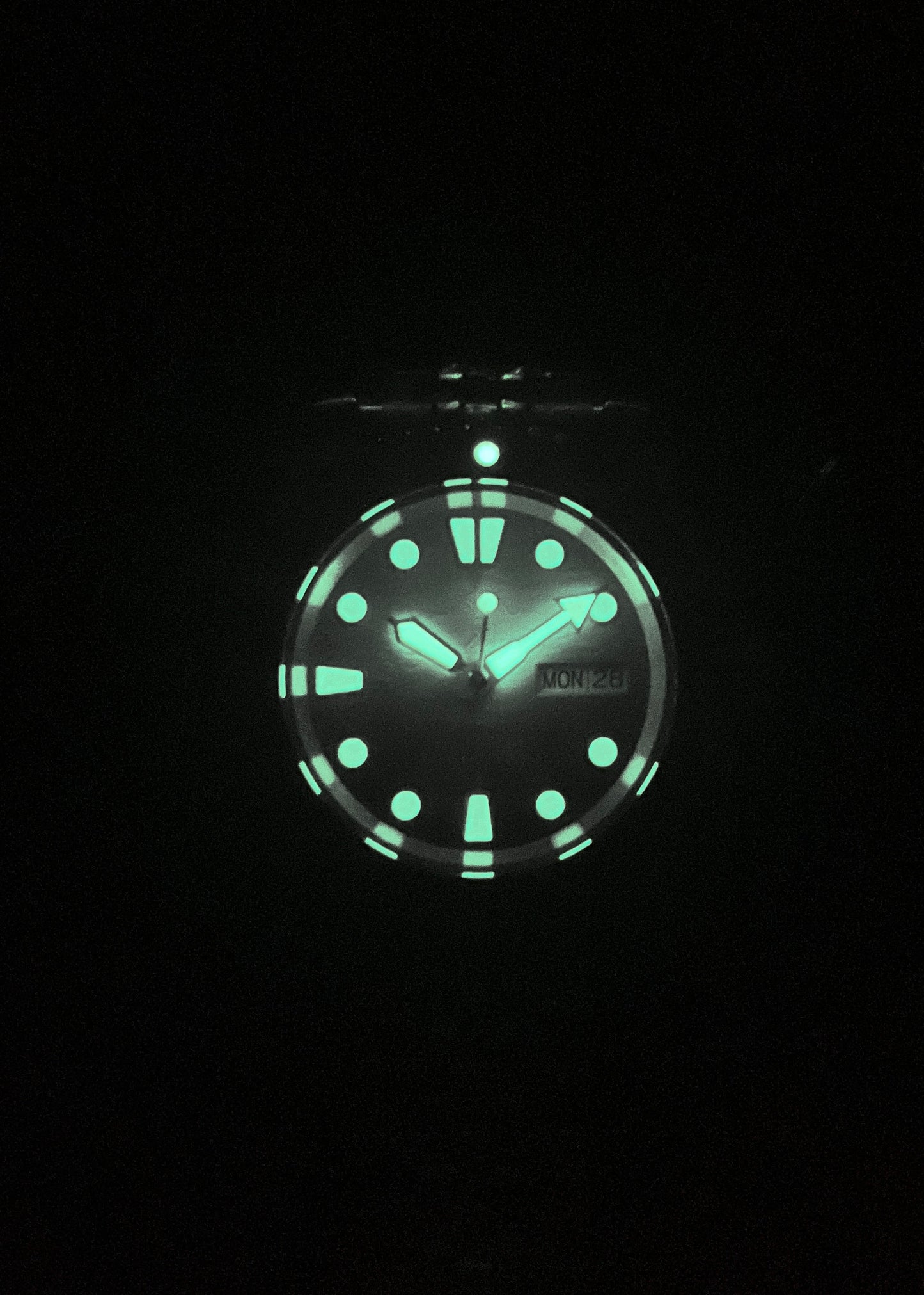 Great Blue Turtle Sub